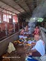 Gopuja & Goshanti at Kembre Kotge, Shirali (2 Nov 2024)